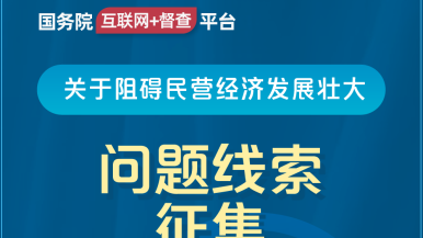 www.操国务院“互联网+督查”平台公开征集阻碍民营经济发展壮大问题线索